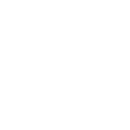 Paid Advertising