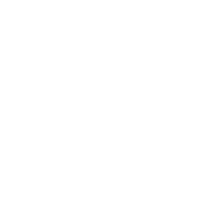 Ecommerce Solutions