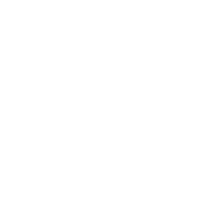 Video Production