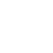 Website Development